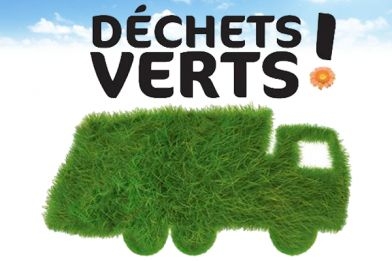 dechets-verts-1586499843-1102